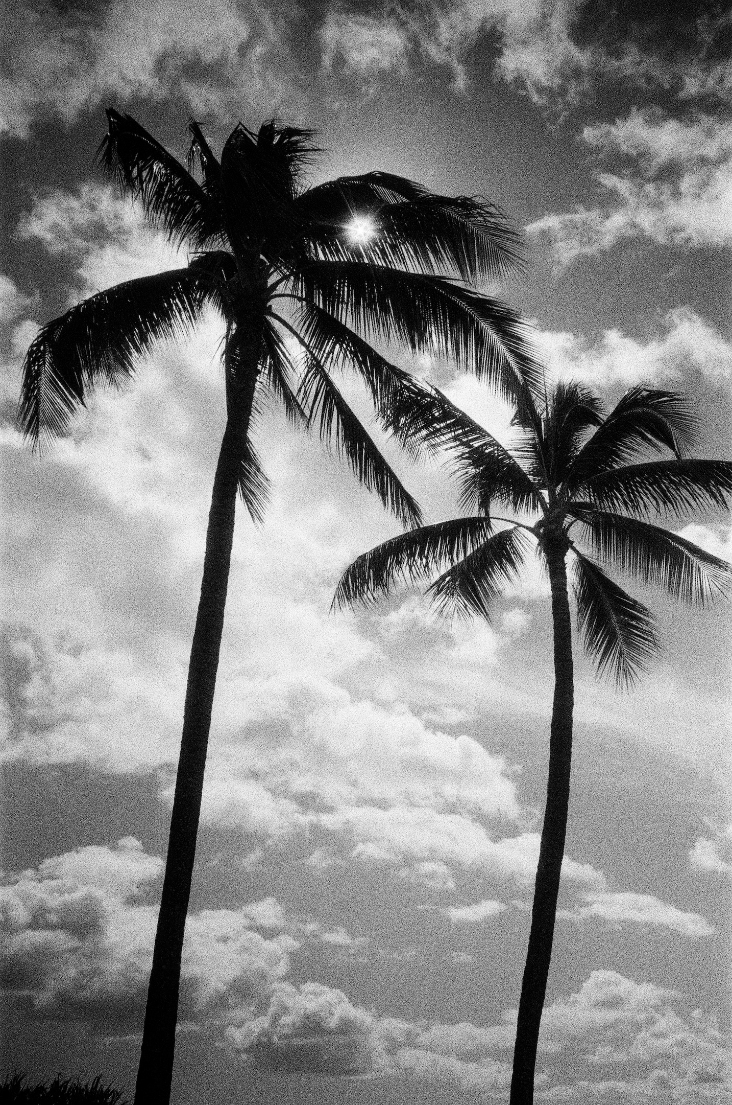 Hawaii_Iflord3200-07
