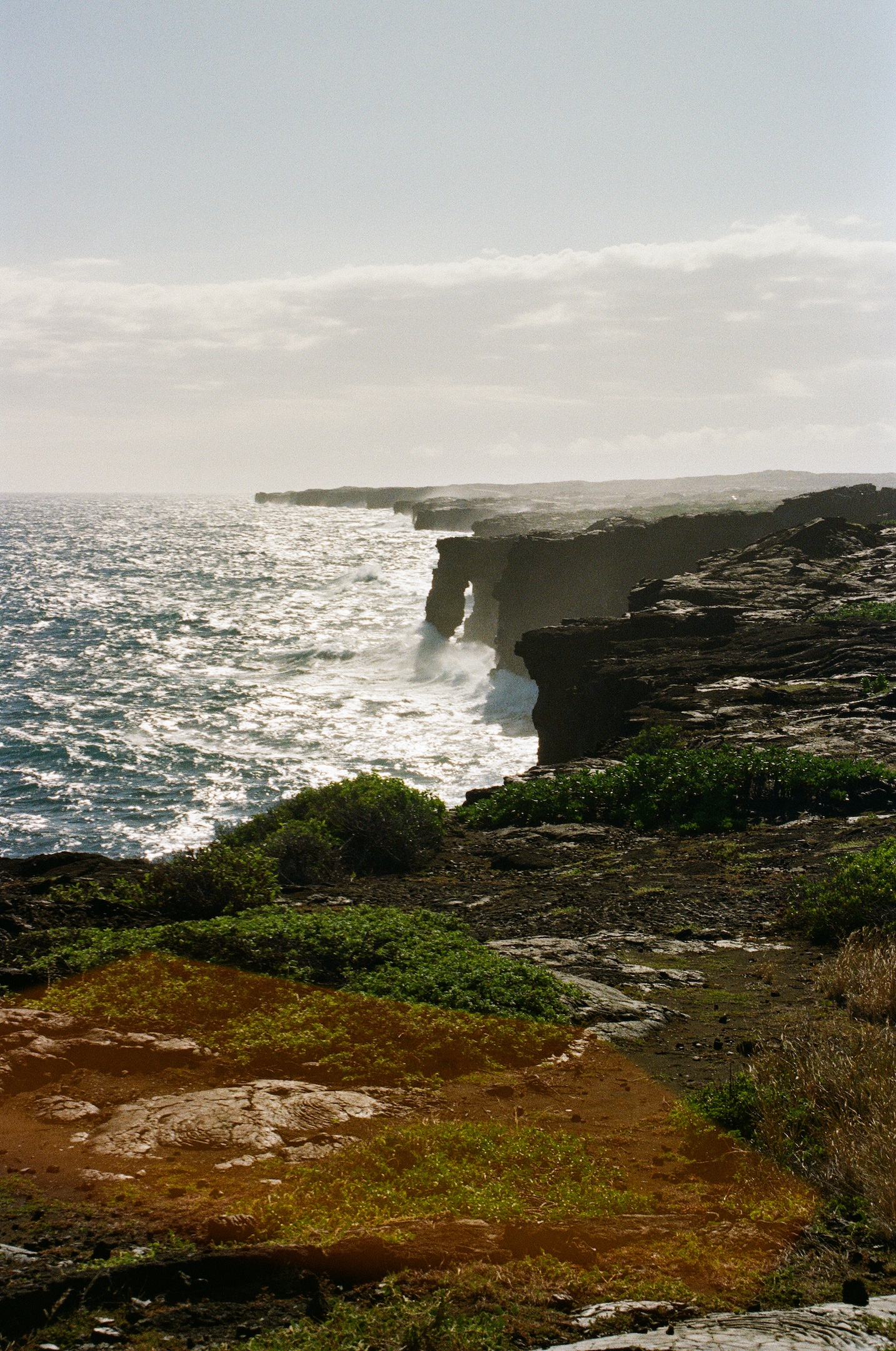 Hawaii_ProImage100-01
