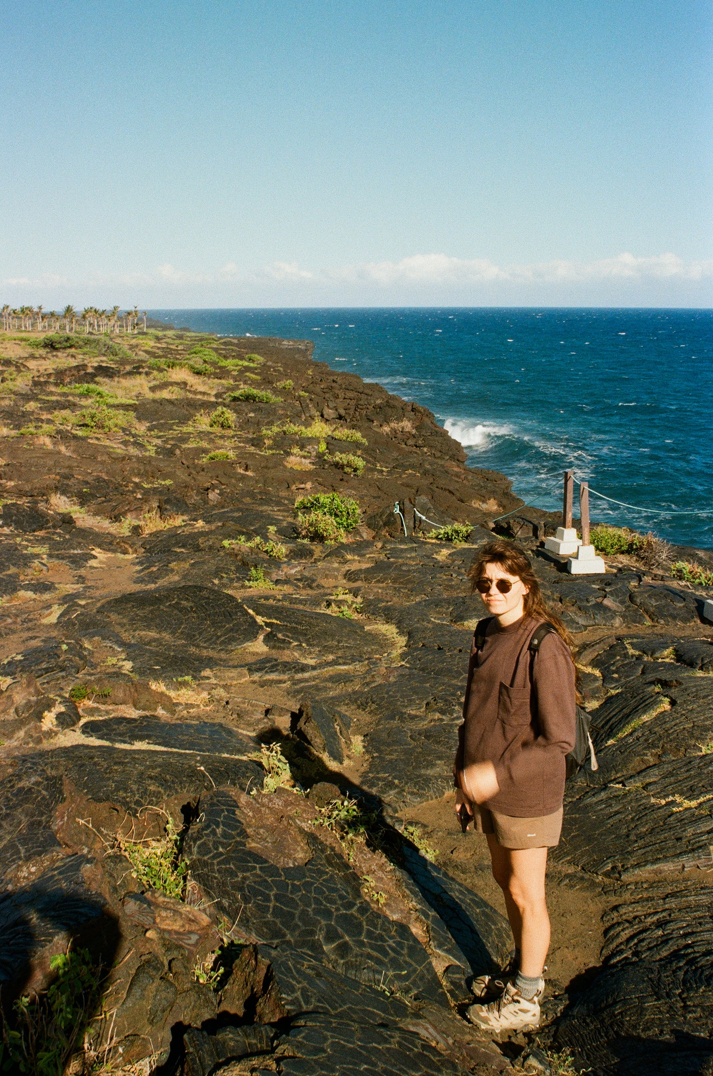 Hawaii_ProImage100-03