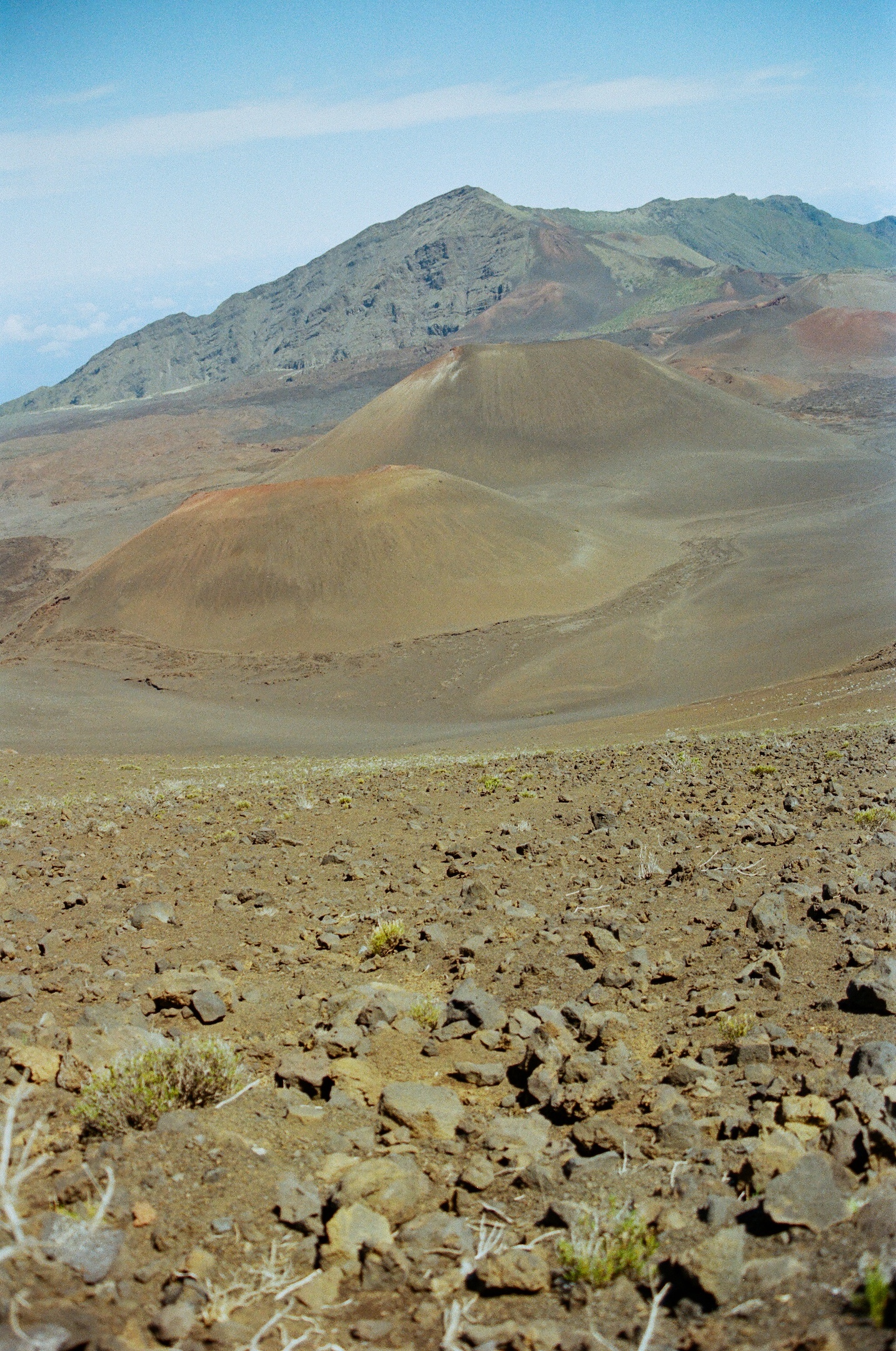 Hawaii_ProImage100-15