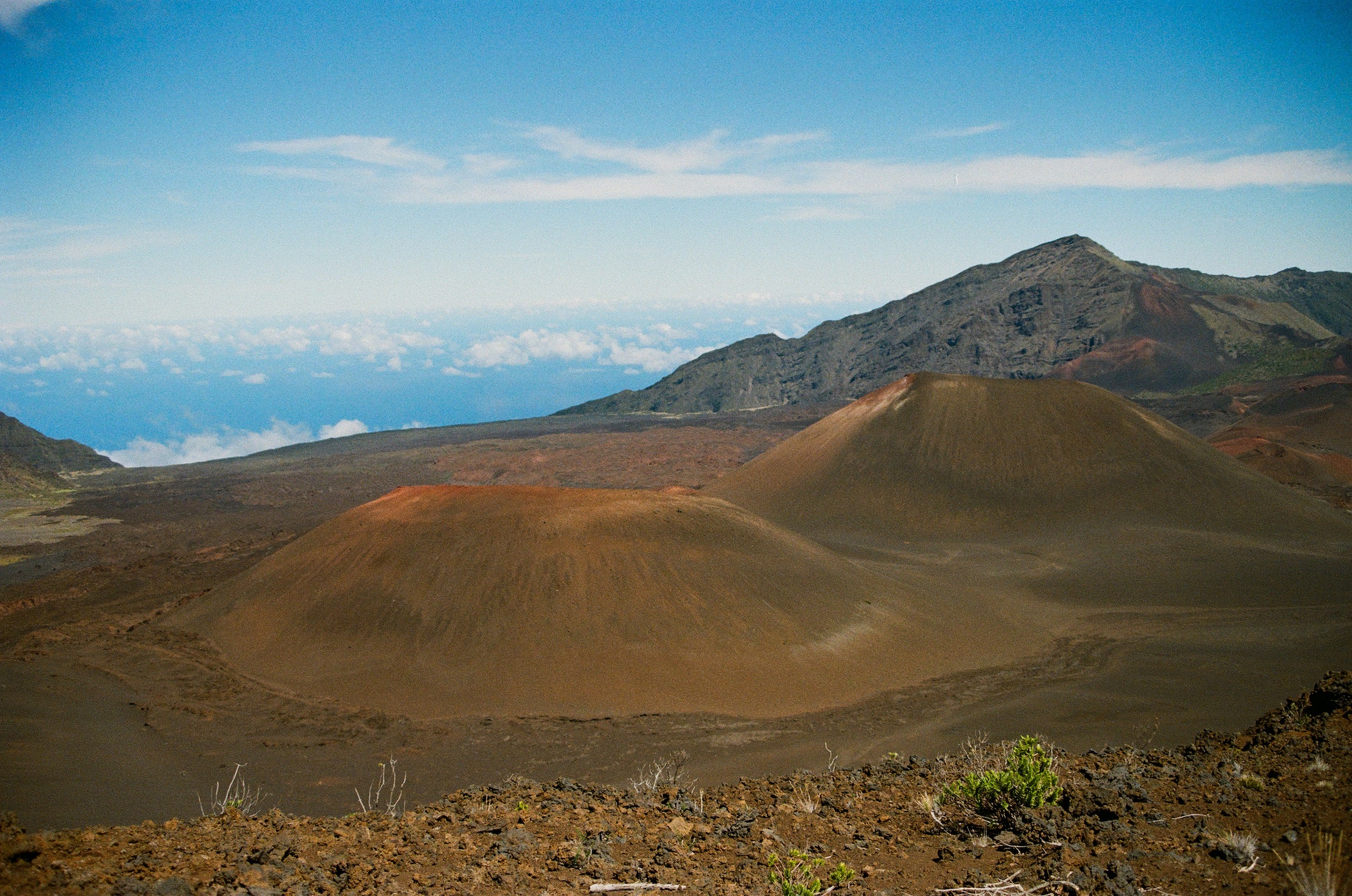 Hawaii_ProImage100-16